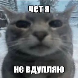 сема_буйный