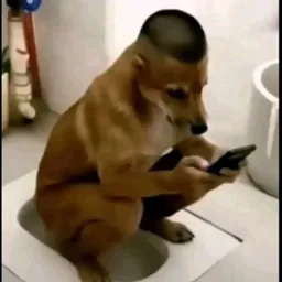 галактический_бикфут