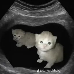 fifizaxxx